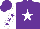 Purple, white star, purple stars on white sleeves