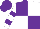 Purple and white quarters, purple bars on white sleeves