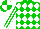Green, White Diamonds, White Stripes On Sleeves, Green and white quartered Cap