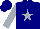 Navy blue, silver star, silver sleeves