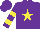 Purple, yellow star, yellow bars on sleeves, purple cap