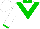 White, green collar & 'v', green cuffs on sleeves, white cap