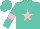 Turquoise, pink star,  pink armlets on sleeves