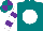 Teal, white ball, purple bars on white sleeves, teal and purple quartered cap