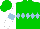 Green, light blue diamond hoop, white sleeves, light blue armlets