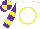 White, yellow circle, yellow bars on purple sleeves, purple and yellow quartered cap