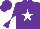 Purple, white star, diabolo on sleeves