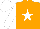 Orange, white star front and back, white sleeves with brown and white cap