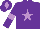 Purple, mauve star, armlets and diamond on cap