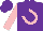 Purple, pink horseshoe 'rc' on back, pink sleeves