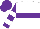 White, purple hoop, white bars on purple sleeves, purple cap