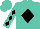 Turquoise, black horse,black diamond, black diamonds on sleeves, turquoise cap