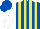 Royal Blue and Yellow stripes, White sleeves