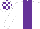 WHITE, purple panel, check cap