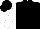Black, White Sleeves