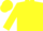 Yellow, 'Canterbury Logo'